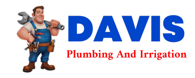 Trusted plumber in LA PRYOR